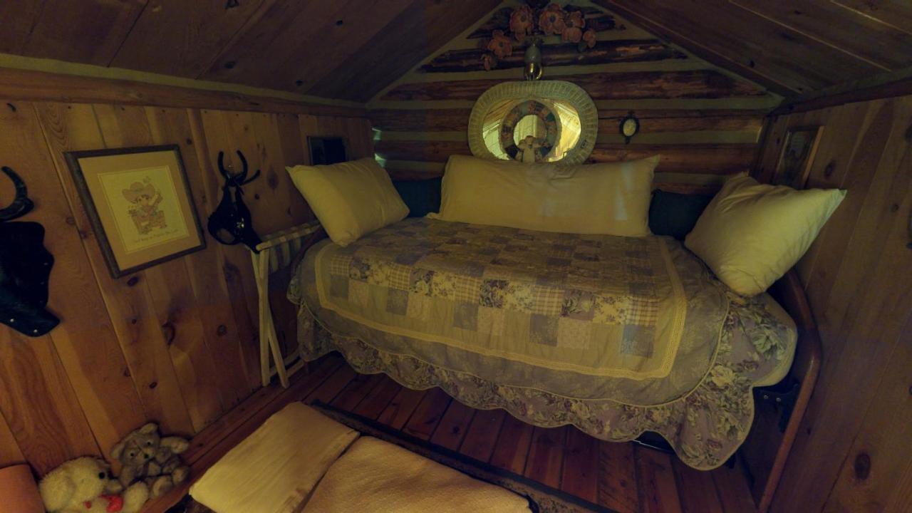 Cabin By The Creek With High Speed Wifi Red River Exterior foto